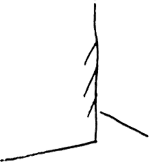 Production Company Logo