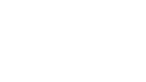American Pie Presents: The Naked Mile Logo