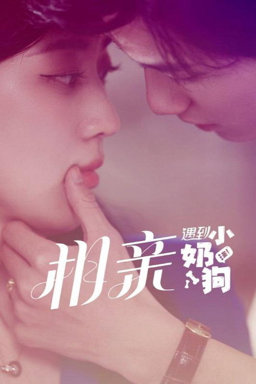 相亲遇到小奶狗电影海报