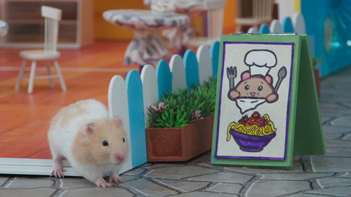 Chef Noodle