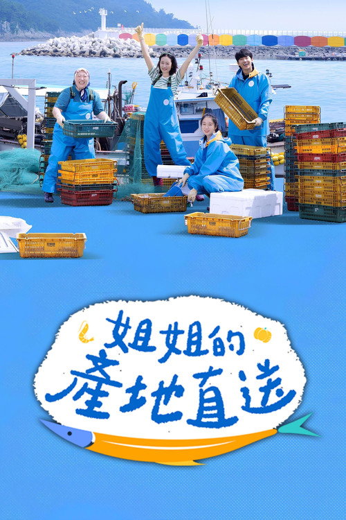姐姐家的产地直送电影海报