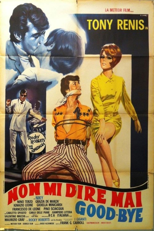 Non mi dire mai goodbye Poster
