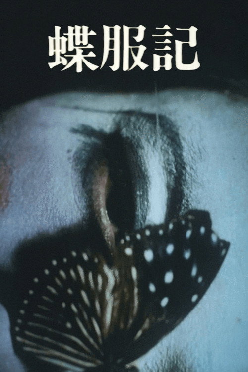 蝶服記电影海报