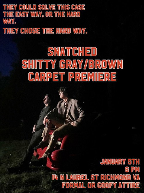 Snatched poster 2