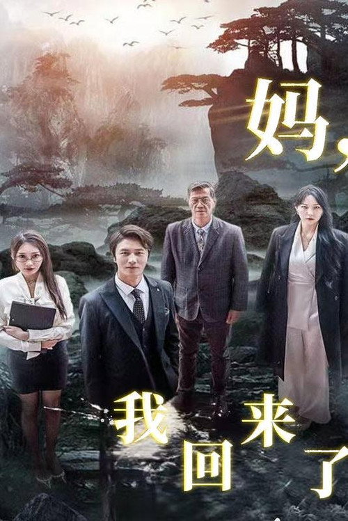 妈,我回来了电影海报