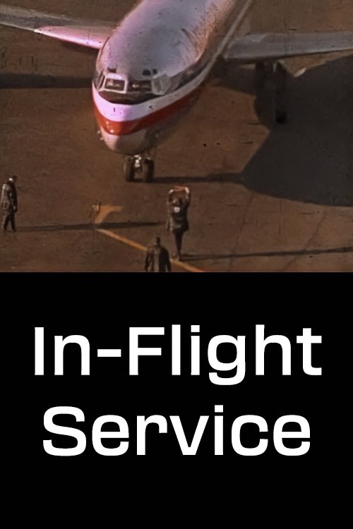In-Flight Service Poster