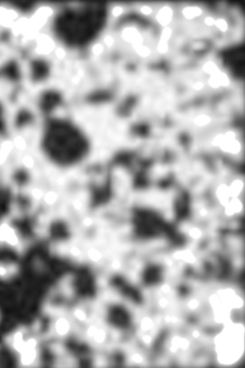 One poster 4