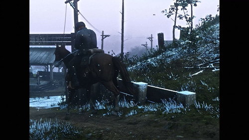 RED DEAD LIBERATION