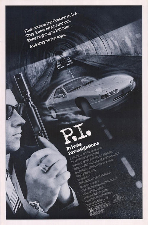 P.I. Private Investigations poster 2