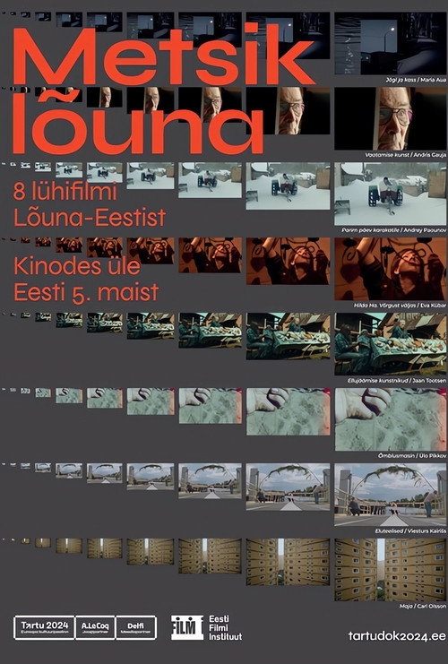 Wild South poster 2