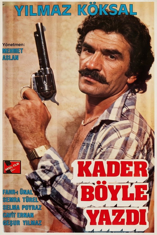 Kader Böyle Yazdı poster 2