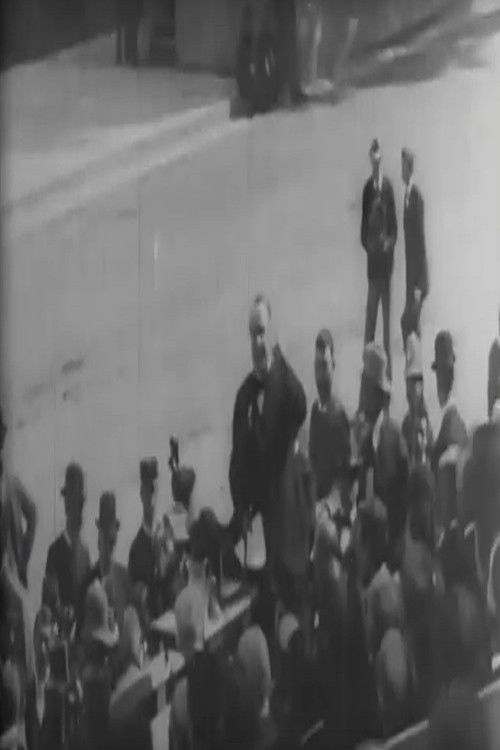 President McKinley Inauguration 1901 President McKinley Inauguration 1901