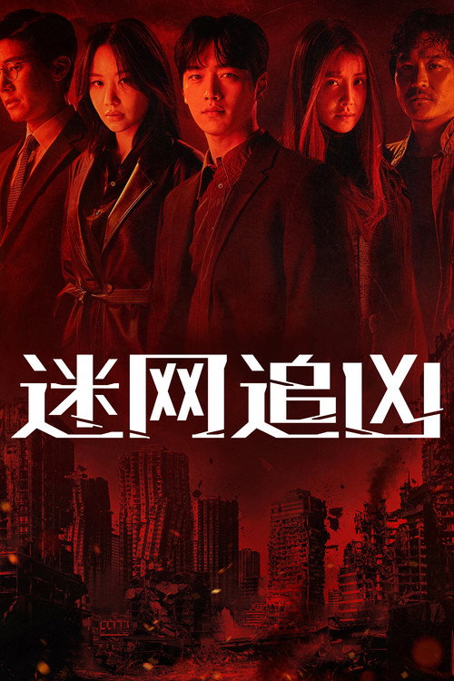 迷网追凶电影海报