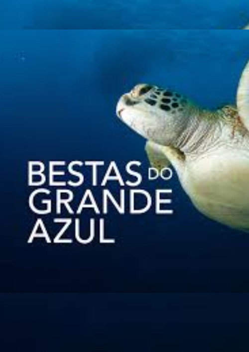 Bestas do Grande Azul电影海报