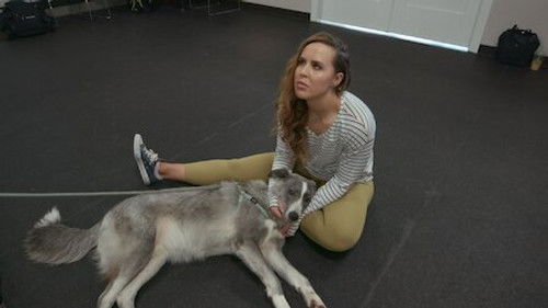 Köpekler - Köyden Gelen Köpek