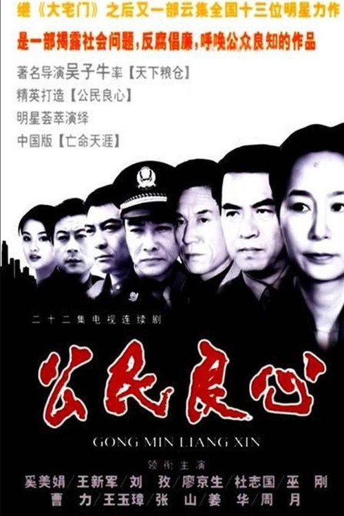公民良心电影海报
