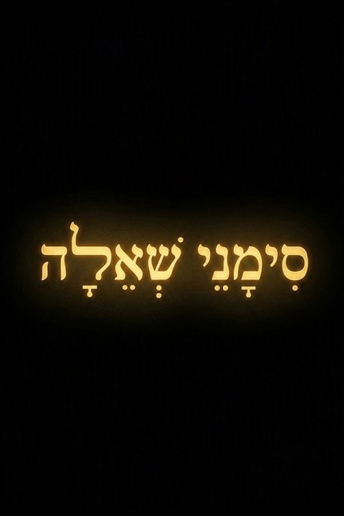 סימני שאלה poster 2