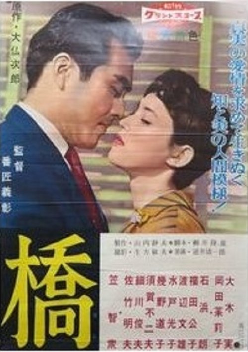 Bridge Poster
