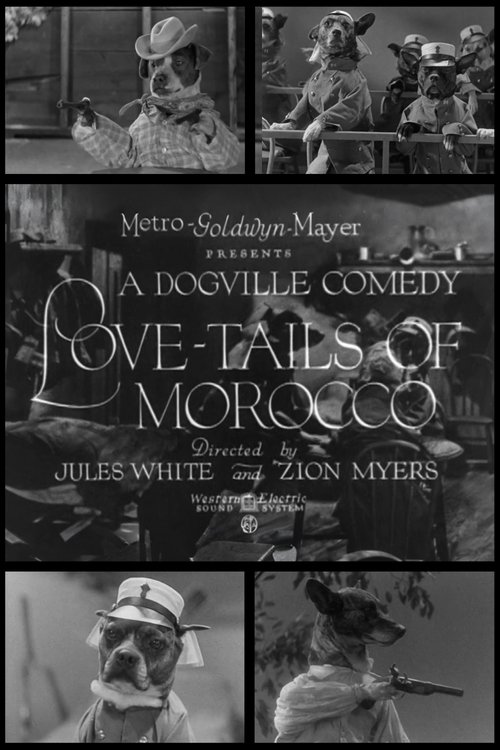 Love-Tails of Morocco Poster