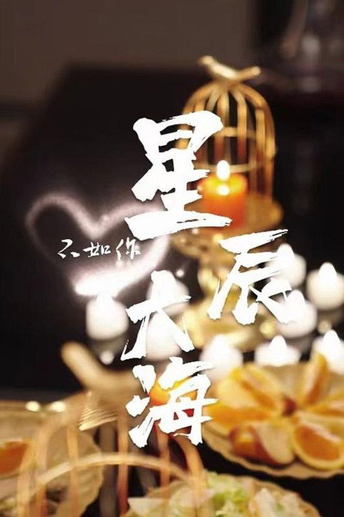 星辰大海不如你电影海报