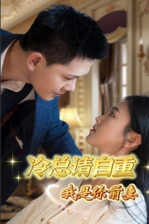 冷总请自重，我是你前妻电影海报
