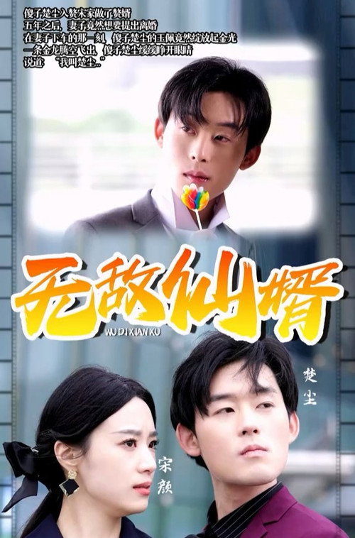 无敌仙婿电影海报