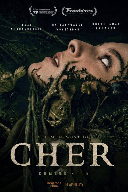 Cher poster 3