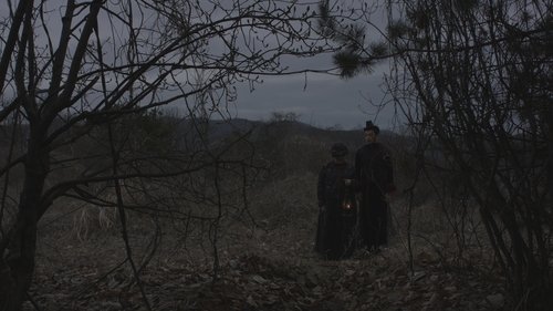 임신한 나무와 도깨비 (2019) Regarder Film complet Streaming en ligne