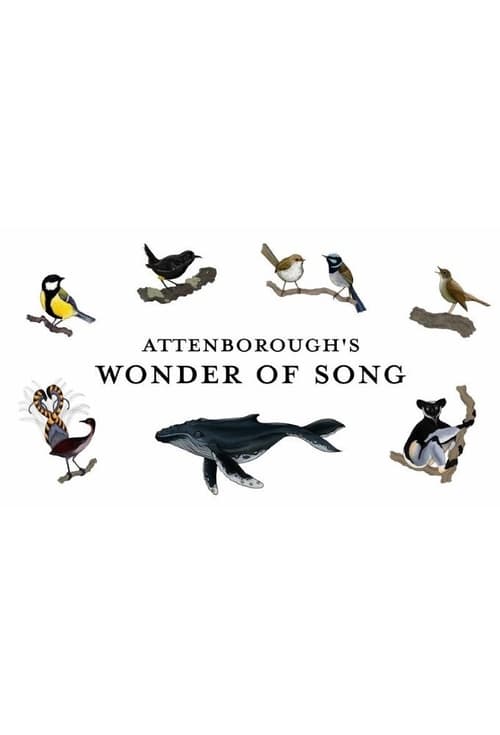 Watch Attenborough's Wonder of Song (2022) Full Movie Online Free