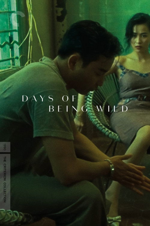 Days of Being Wild
