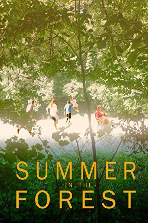 Poster of Summer in the Forest