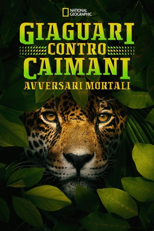 Jaguar+vs.+Croc