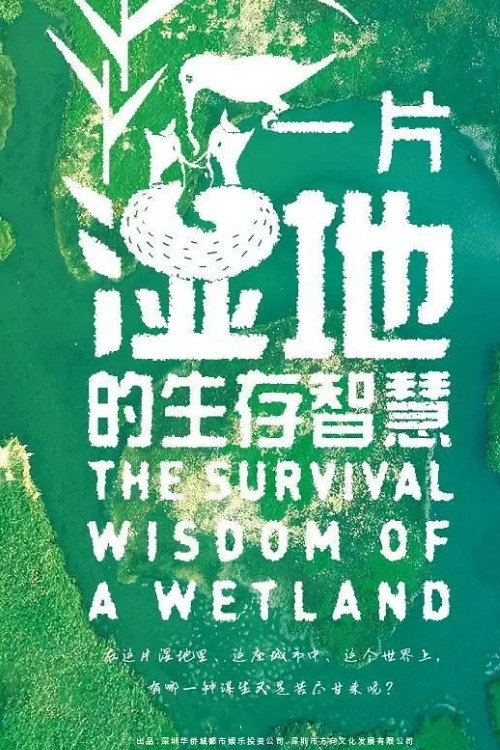 深圳自然笔记电影海报