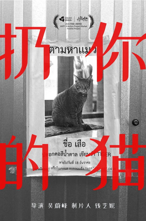 Drop Your Cat poster 2