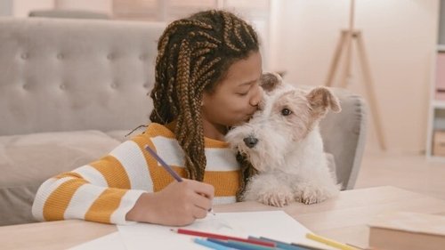 Explained - 4. Bölüm