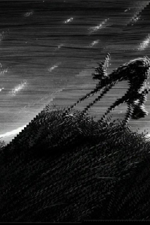 The Thinking Wolf