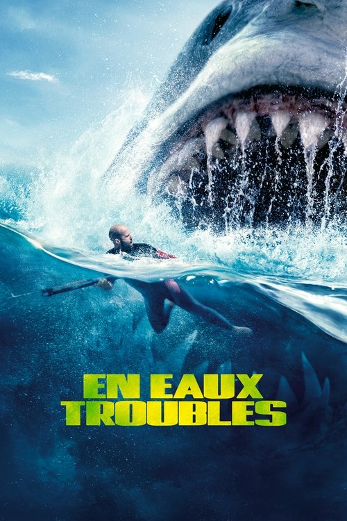 En eaux troubles poster