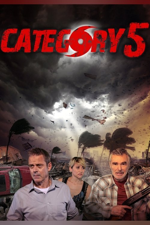 Category 5 poster