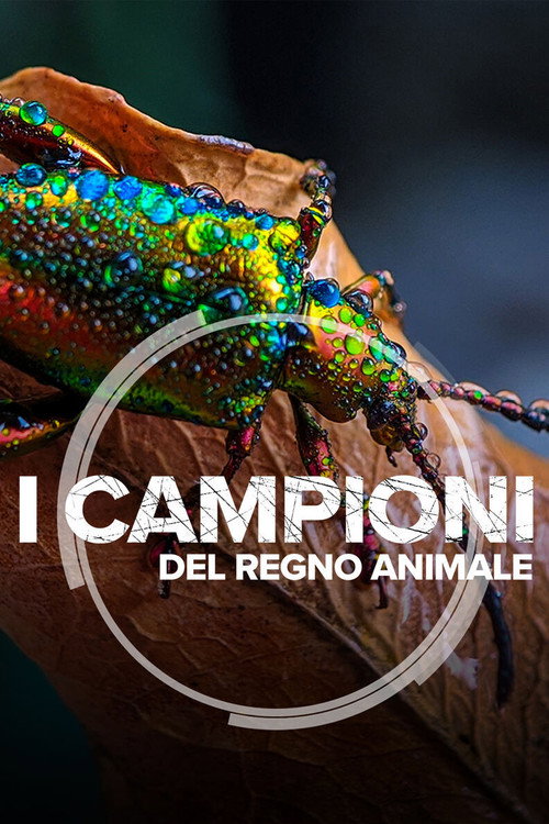 I campioni del regno animale电影海报