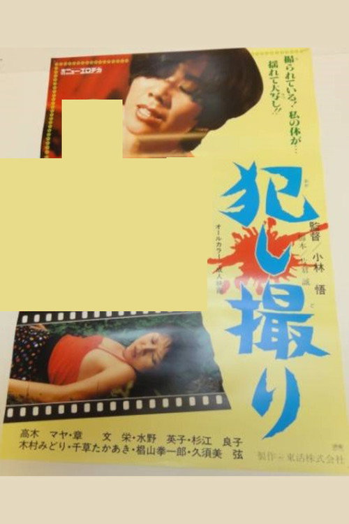Filming a Crime poster 2