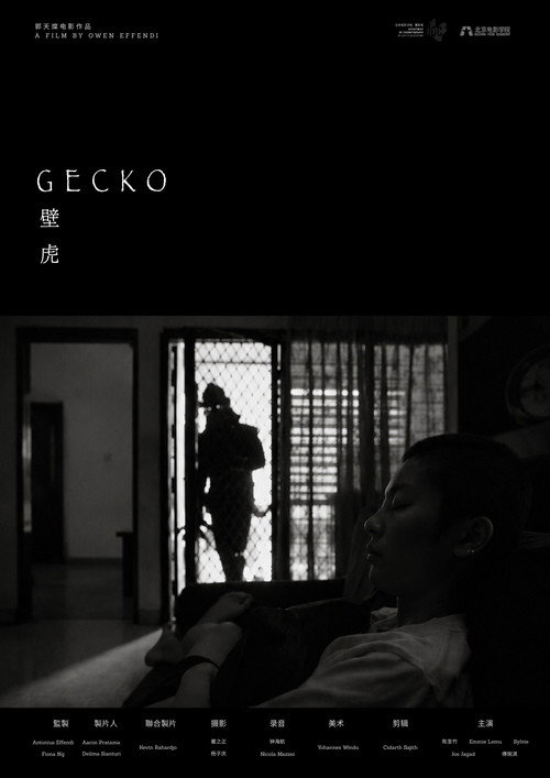 Gecko Poster