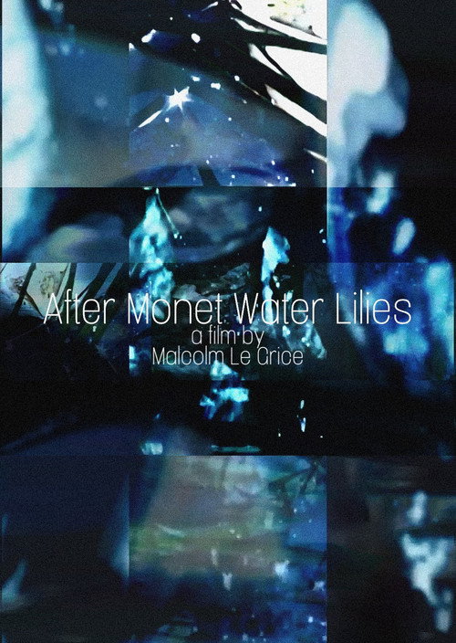 After Monet Water Lilies poster 3