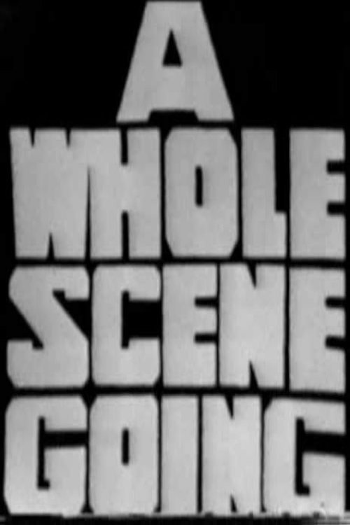 A Whole Scene Going电影海报