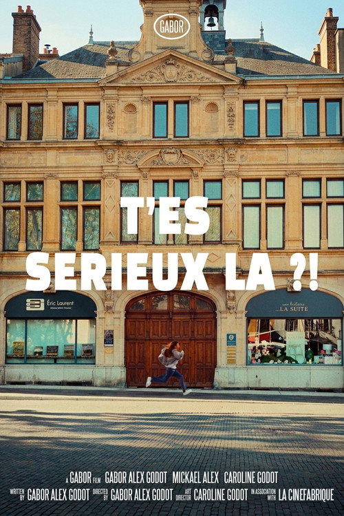 T'es s&eacute;rieux l&agrave; ?!电影海报