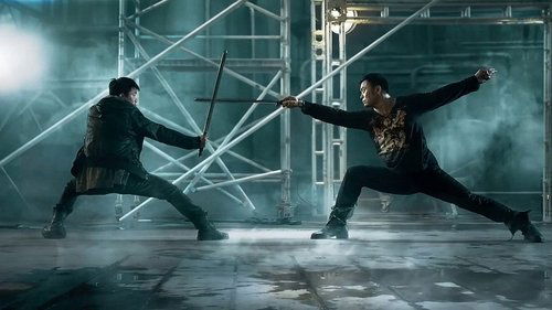 Kung Fu Jungle (2014)Bekijk volledige filmstreaming online