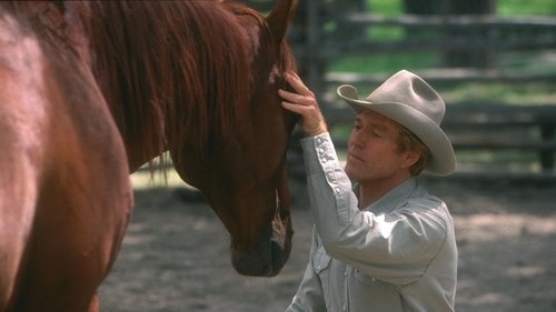 El hombre que susurraba a los caballos (1998) pelicula completa en español latino oNLINE