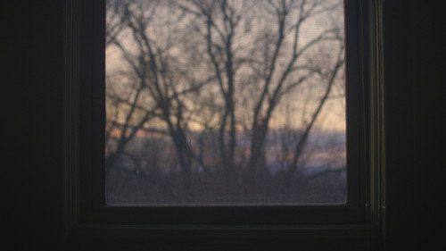 Backdrop