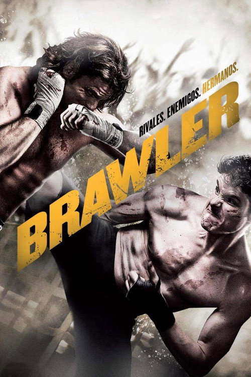 Brawler poster 2