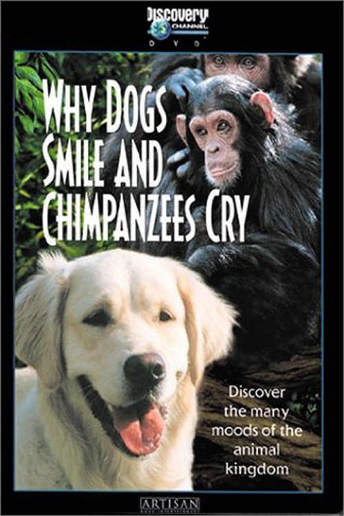 Why Dogs Smile and Chimpanzees Cry Poster