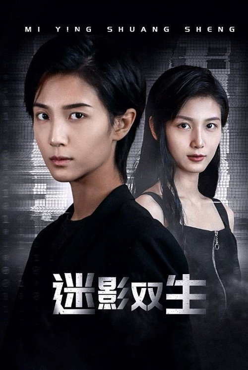 迷影双生电影海报